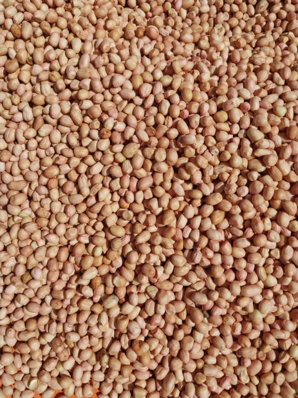 White Peanuts from Tanzania